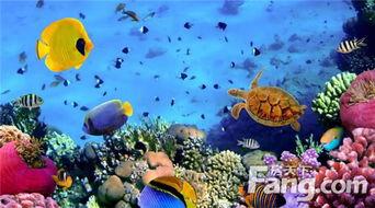 海洋之眼爆料视频大全,视频大全深度解析  第2张